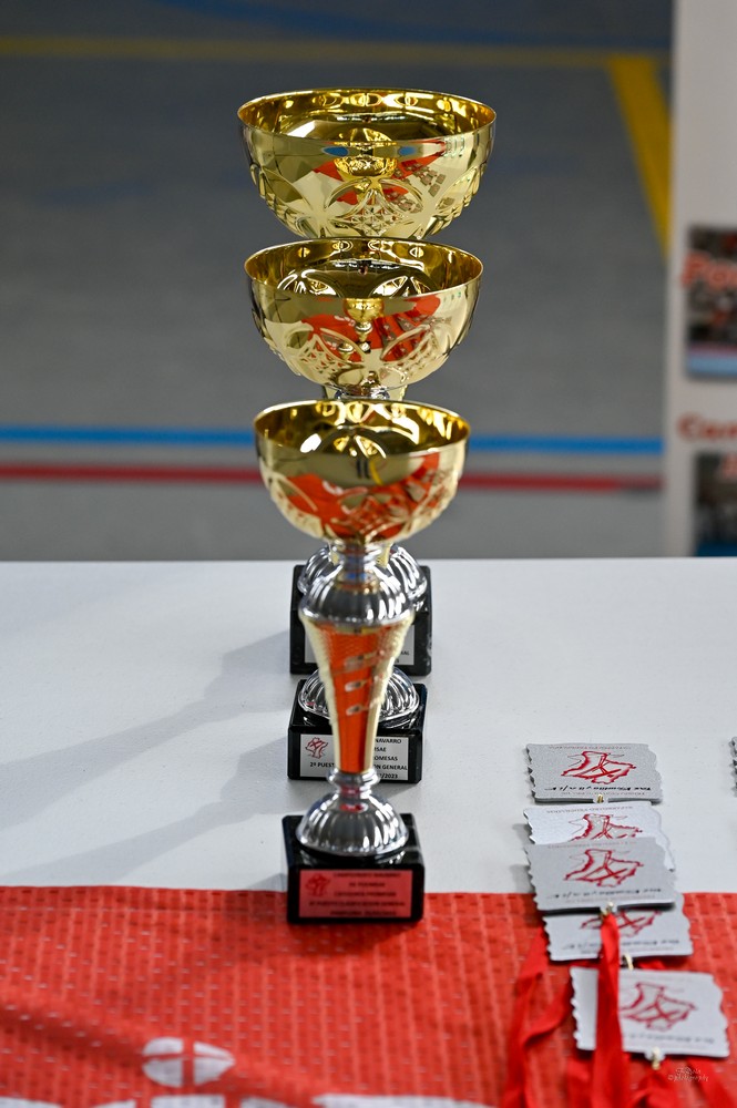 RESULTADOS CAMPEONATOS DE POOMSAE DEL 25 FEBRERO DE 2023